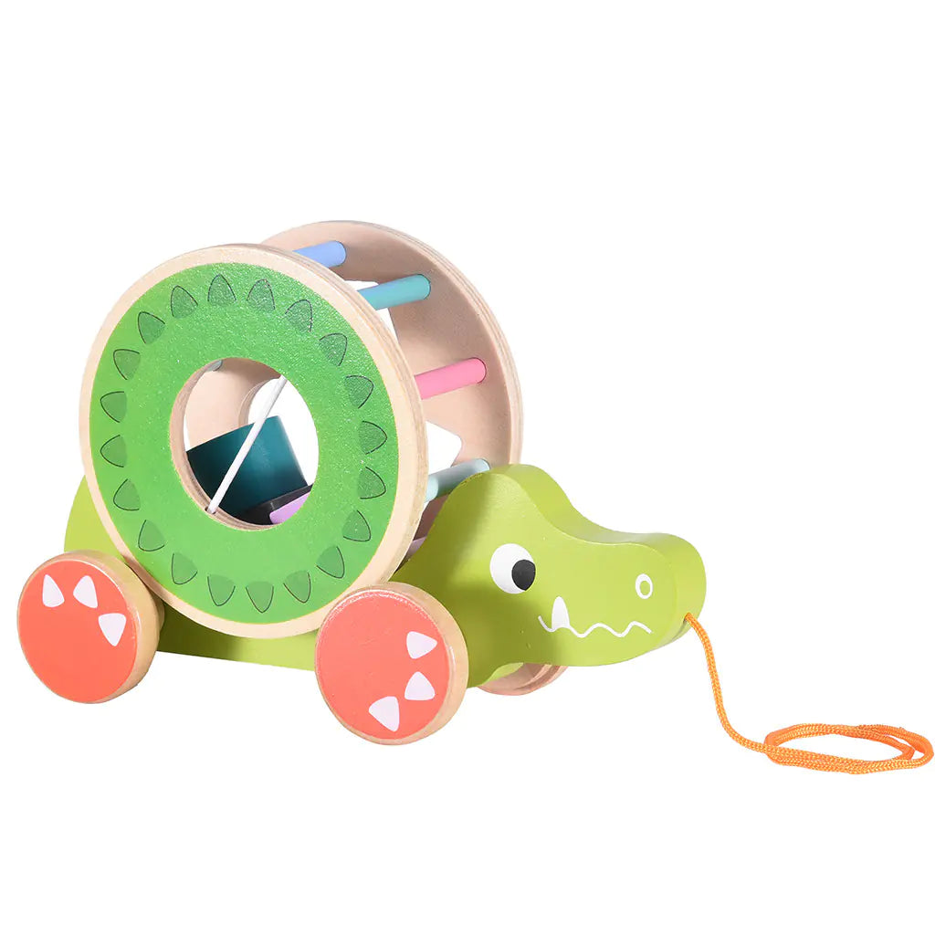 Wooden Educational Toy