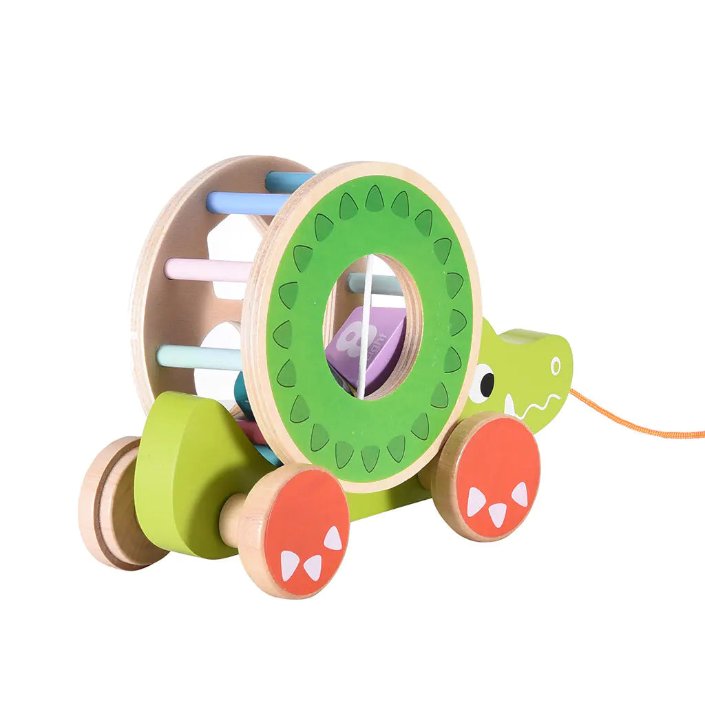 Wooden Educational Toy