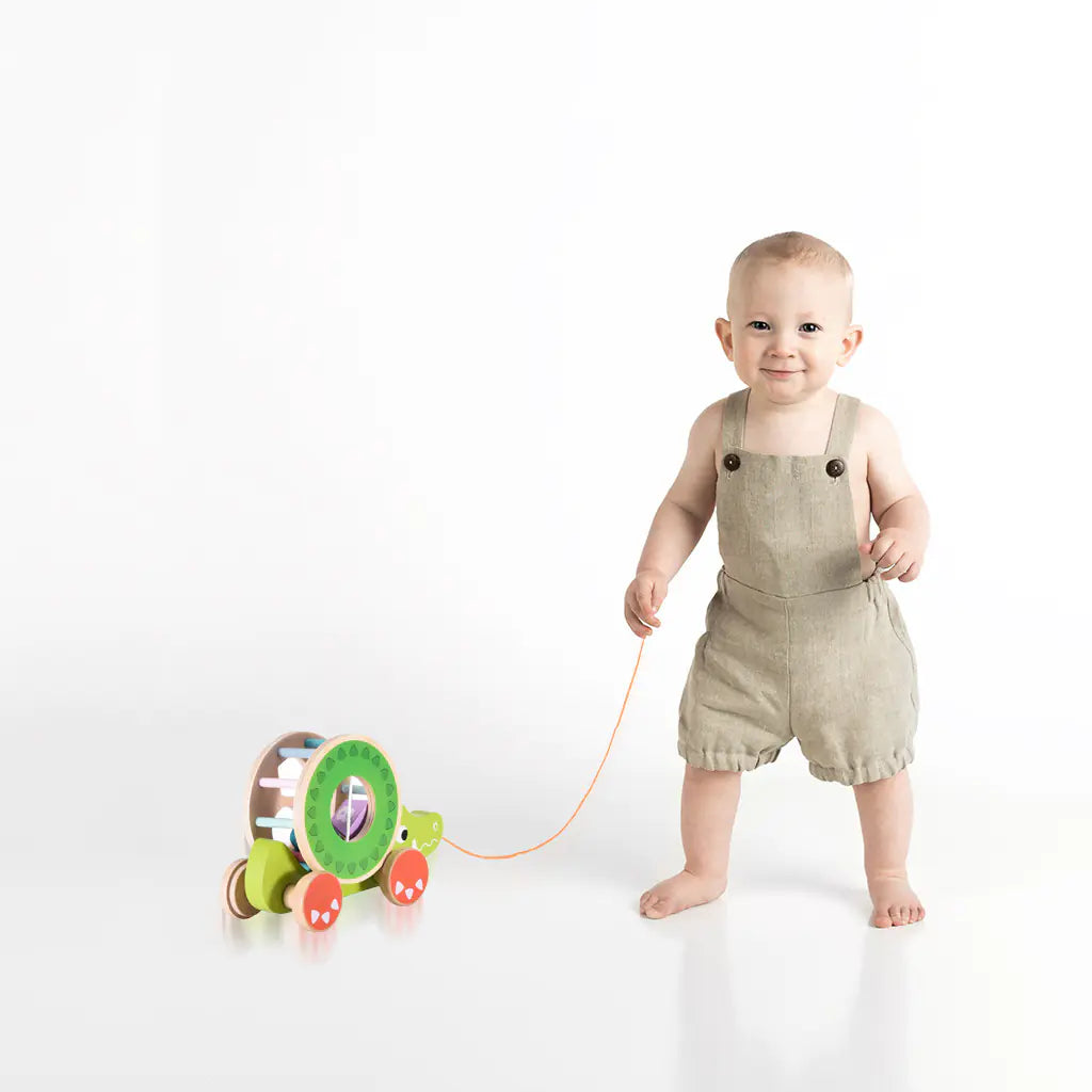 Wooden Educational Toy